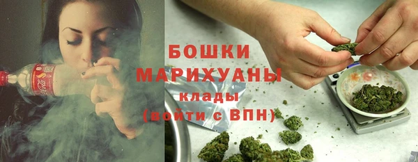 бошки Пестово