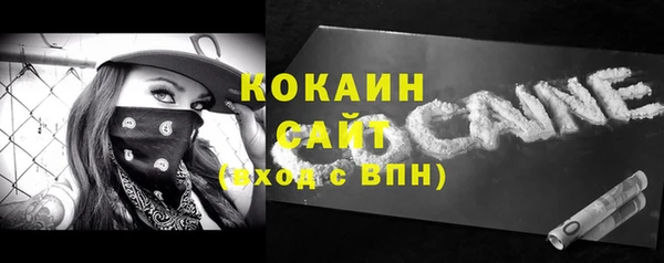 дживик Надым