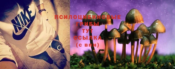 марки nbome Пересвет